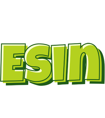 Esin summer logo