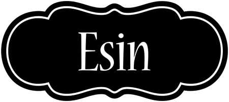 Esin welcome logo