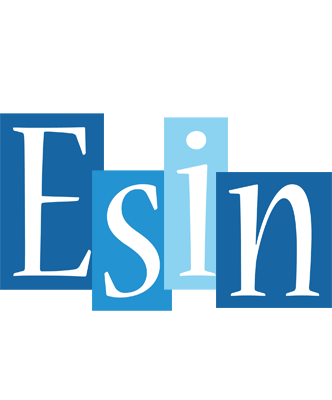 Esin winter logo