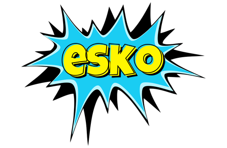 Esko amazing logo