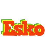 Esko bbq logo