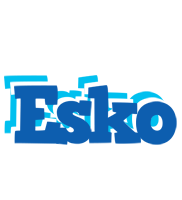 Esko business logo