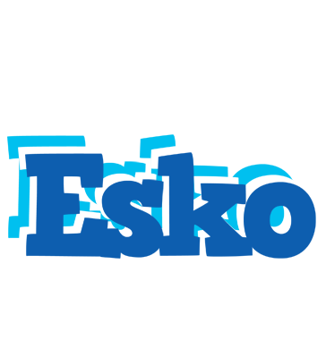 Esko business logo