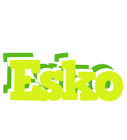 Esko citrus logo