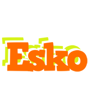 Esko healthy logo