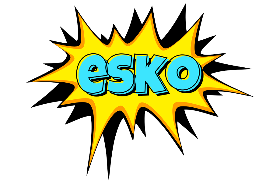 Esko indycar logo