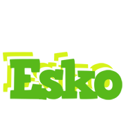 Esko picnic logo