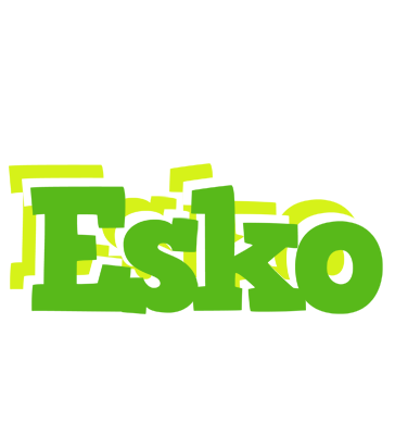 Esko picnic logo