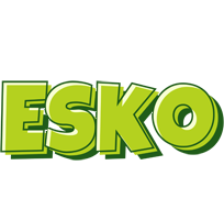 Esko summer logo