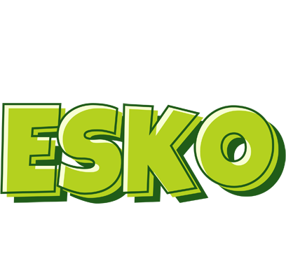 Esko summer logo