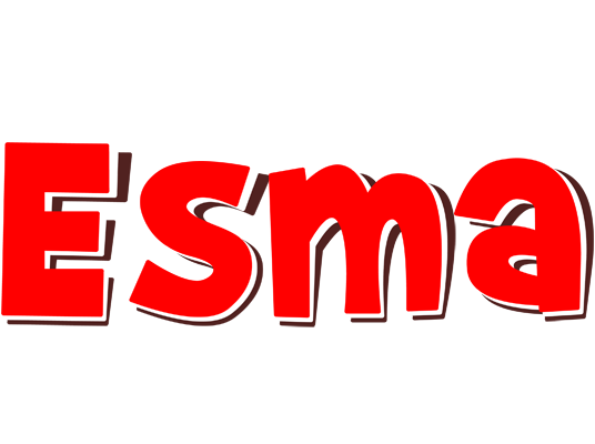 Esma basket logo