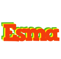 Esma bbq logo