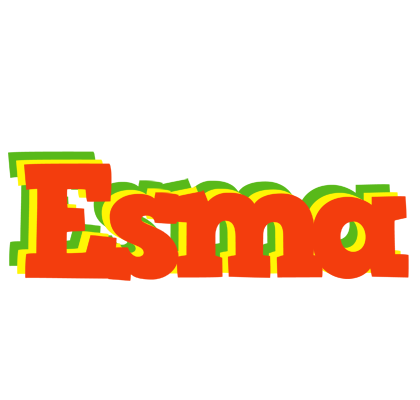 Esma bbq logo