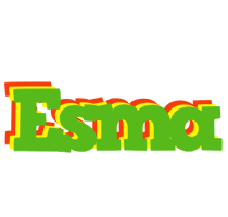 Esma crocodile logo