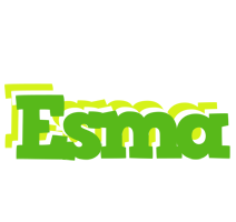 Esma picnic logo