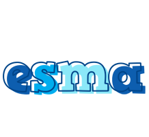 Esma sailor logo