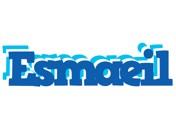Esmaeil business logo