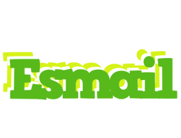 Esmail picnic logo