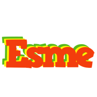 Esme bbq logo