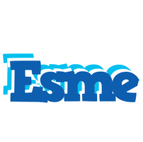 Esme business logo