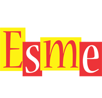 Esme errors logo