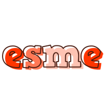 Esme paint logo