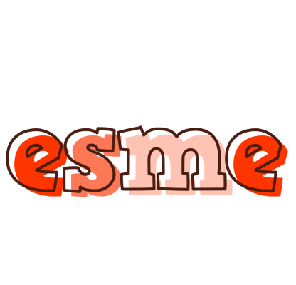 Esme paint logo