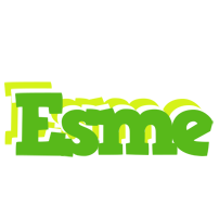 Esme picnic logo