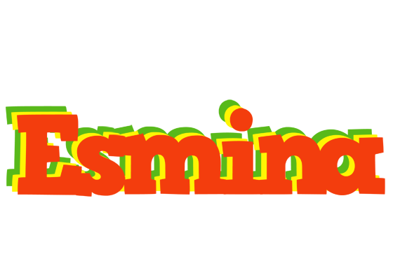 Esmina bbq logo
