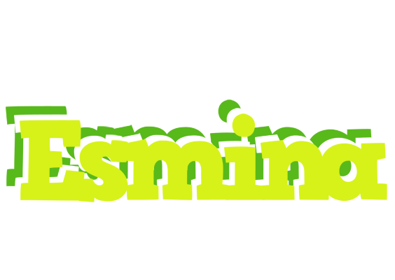 Esmina citrus logo