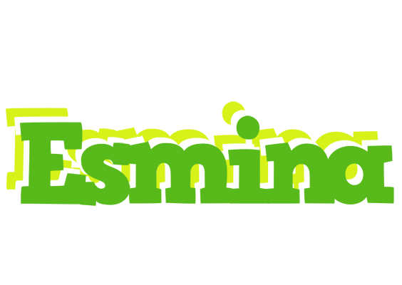 Esmina picnic logo