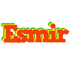 Esmir bbq logo