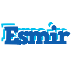 Esmir business logo