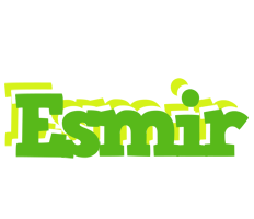 Esmir picnic logo