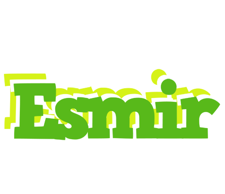 Esmir picnic logo