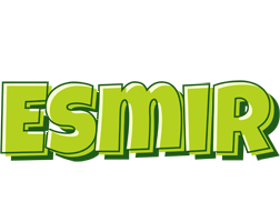 Esmir summer logo