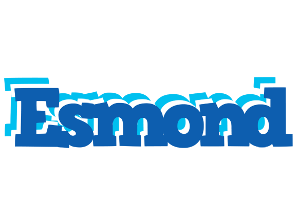 Esmond business logo
