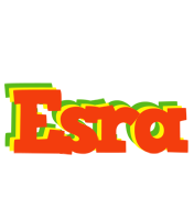 Esra bbq logo