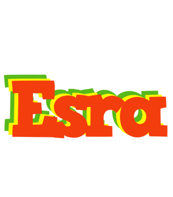 Esra bbq logo