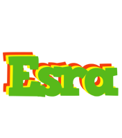 Esra crocodile logo