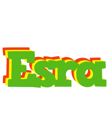 Esra crocodile logo