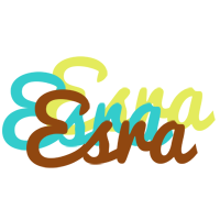 Esra cupcake logo