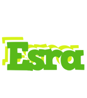 Esra picnic logo