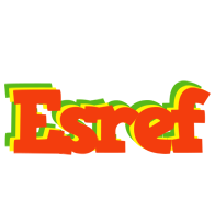 Esref bbq logo