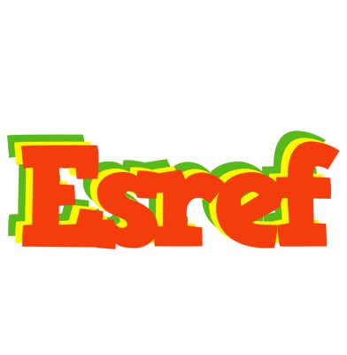 Esref bbq logo