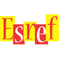 Esref errors logo