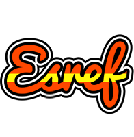 Esref madrid logo