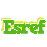 Esref picnic logo