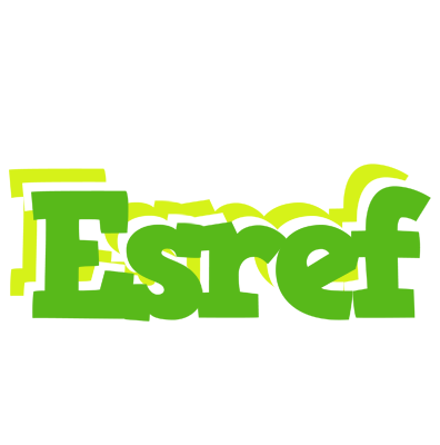 Esref picnic logo