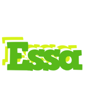 Essa picnic logo